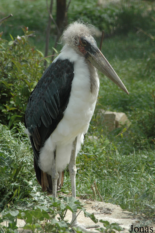 Zoo de Sevilla
