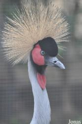 Zoo Alt Camp