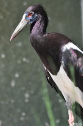 Zoo Landau in der Pfalz