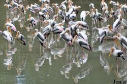 Zoo Negara