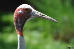 Olmense Zoo