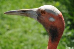 Olmense Zoo