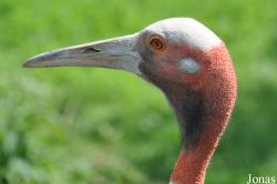Olmense Zoo