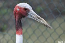 Olmense Zoo