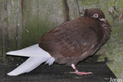 Zoologischer Garten Rostock