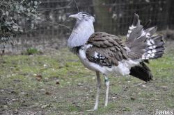Zoologischer Garten Krefeld