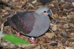 Zoo Osnabrück