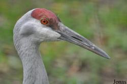 Tierpark Berlin