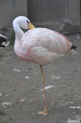 Zoo Berlin