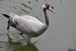 Guangzhou Zoo