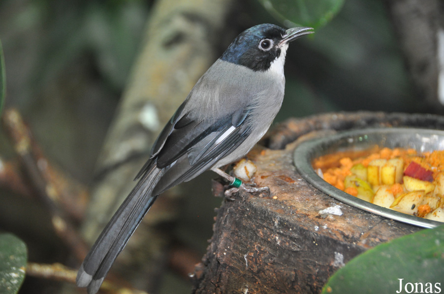 Zoo Ostrava