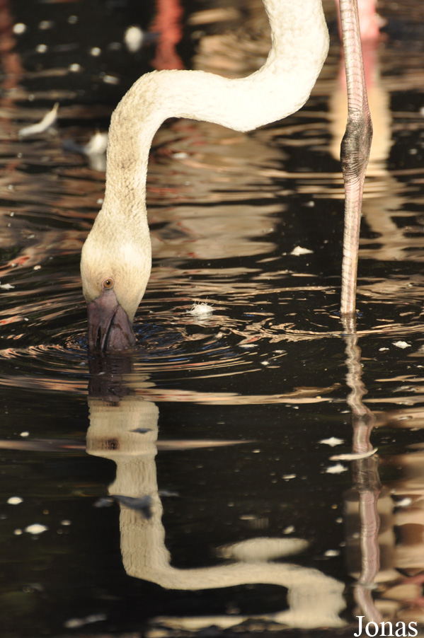 Zoo Praha