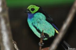 Weltvogelpark Walsrode