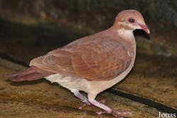 Weltvogelpark Walsrode