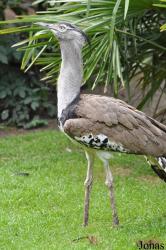 Weltvogelpark Walsrode