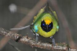 Weltvogelpark Walsrode