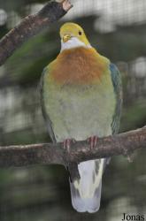 Weltvogelpark Walsrode