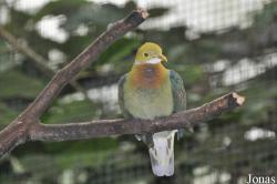 Weltvogelpark Walsrode