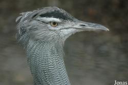 Zoo Schmiding