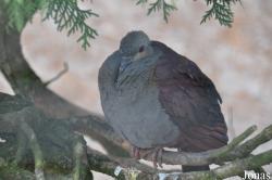 Vogelpark Turnersee