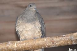 Vogelpark Turnersee