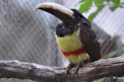 Vogelpark Turnersee