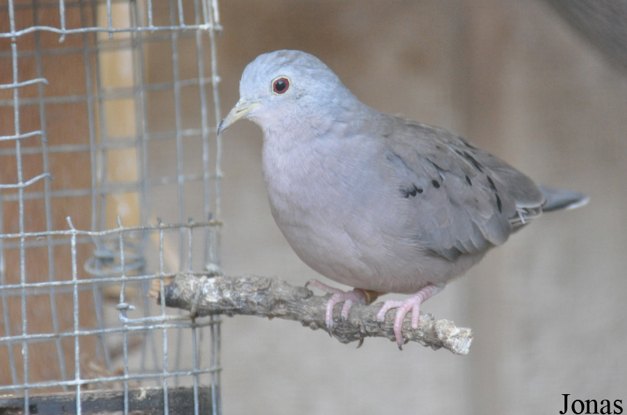Zoo-Botanical Garden Nahariya