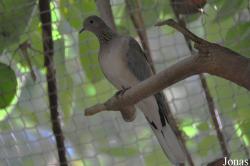 Zoo-Botanical Garden Nahariya