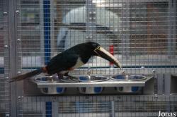 Welt der Tiere