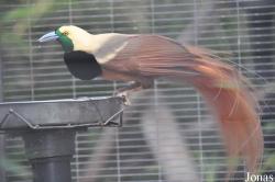 San Diego Zoo