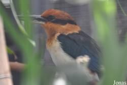 San Diego Zoo