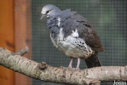 Vogelpark Olching