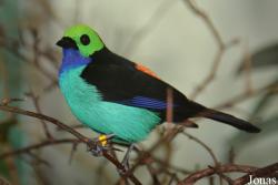 Zoo Basel