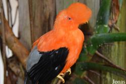Zoo Wuppertal