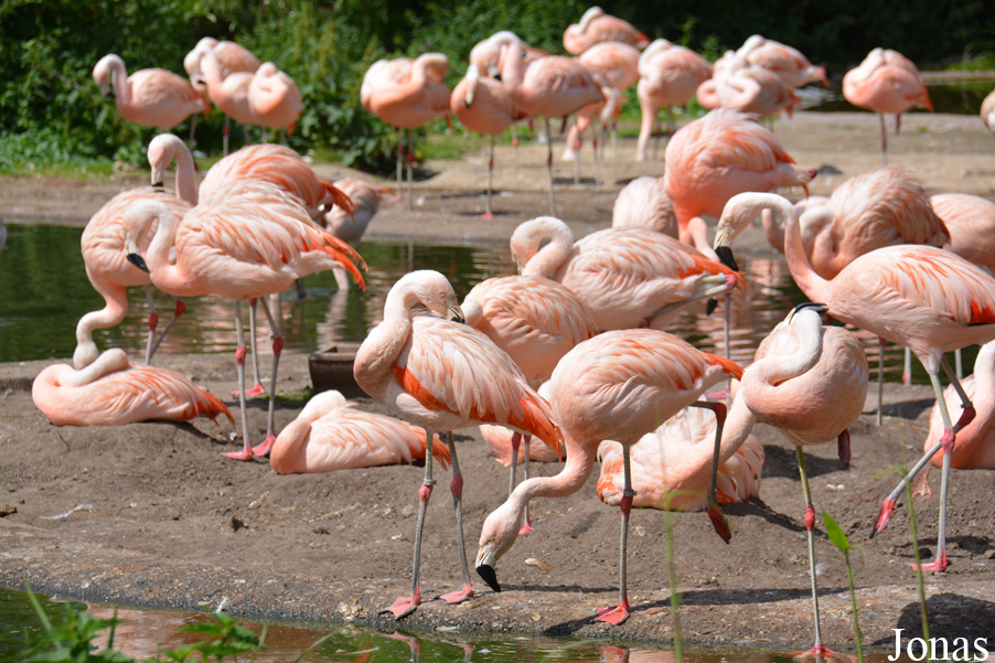 NaturZoo Rheine