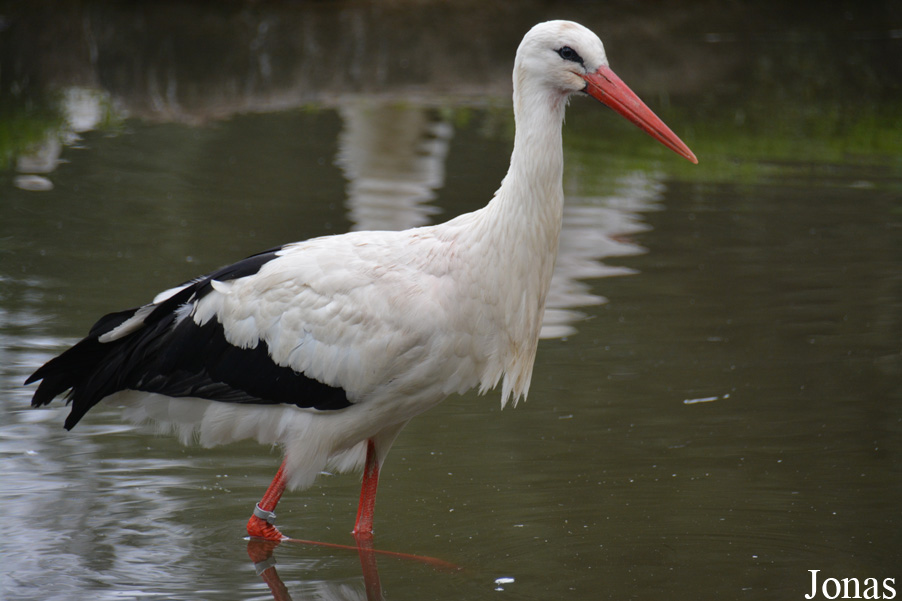 NaturZoo Rheine