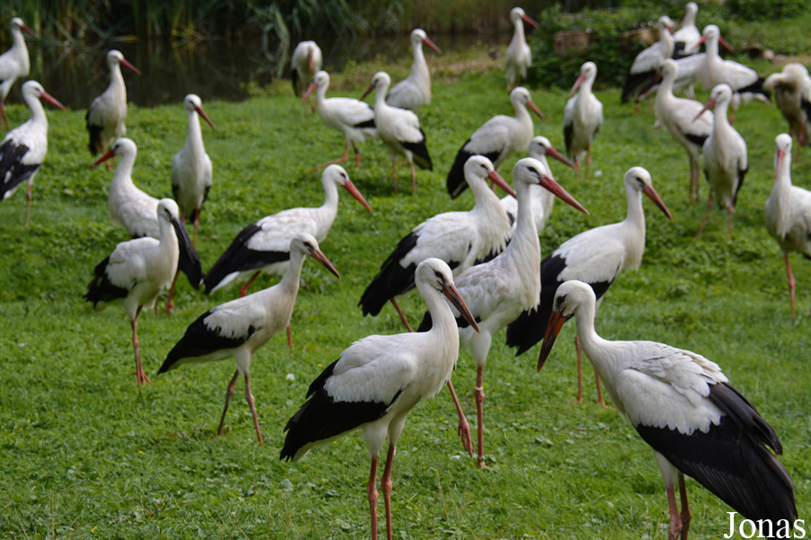 NaturZoo Rheine