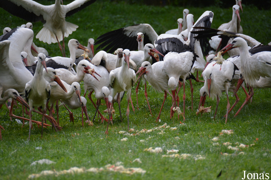 NaturZoo Rheine