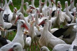 NaturZoo Rheine