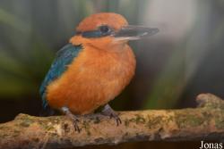 Smithsonian National Zoological Park