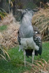 Smithsonian National Zoological Park