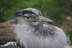 Smithsonian National Zoological Park