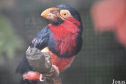 Ogród Zoologiczny w Krakowie