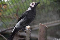 Zoo Wrocław