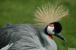 Vogelpark Walsrode