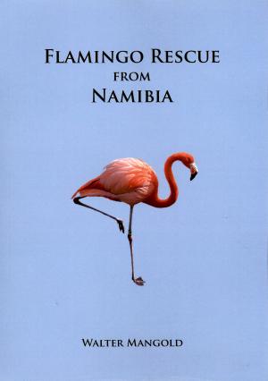 <strong>Flamingo Rescue from Namibia</strong>, Walter Mangold, World of Birds, Hout Bay