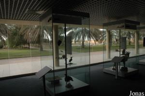 Sharjah Natural History Museum