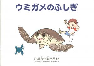 Guide 2021 - The Mysteries of Sea Turtles