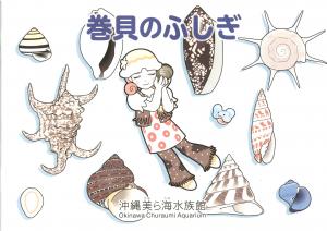 Guide 2024 - The Mysteries of Seashells