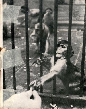 <strong>De Antwerpsche Dierentuin</strong>, Fredereik Clijmans & W. Van den bergh, Van Uffelen & Delagarde, Antwerpen, 1943
